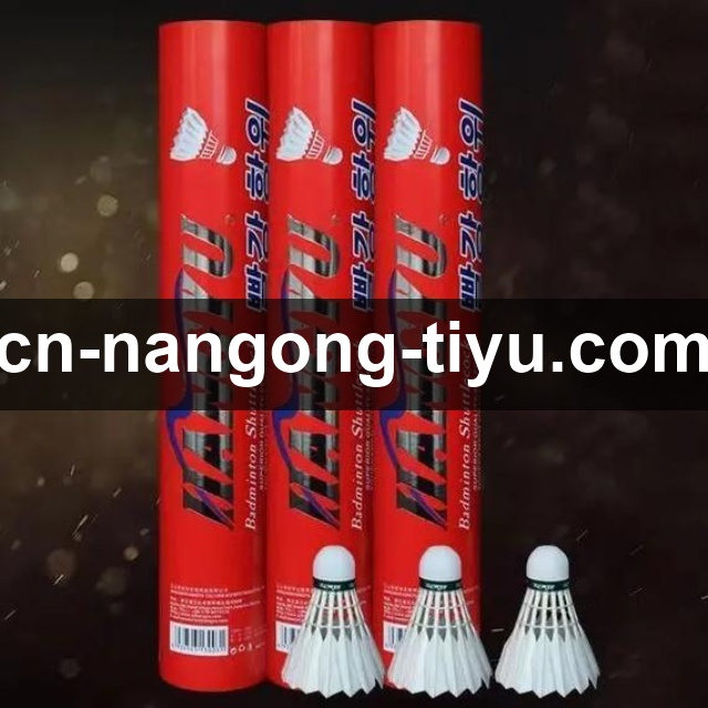 通讯：一座小镇的狂欢，赫罗纳锁定欧战资格后的24小时