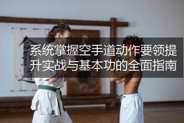 系统掌握空手道动作要领提升实战与基本功的全面指南