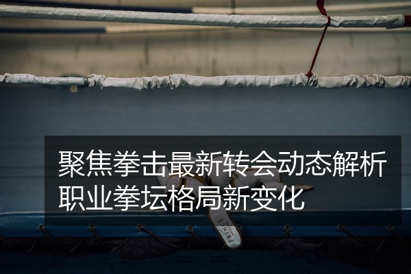 聚焦拳击最新转会动态解析职业拳坛格局新变化