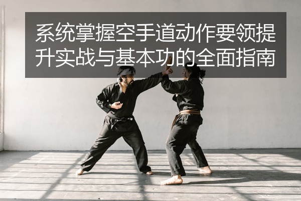 系统掌握空手道动作要领提升实战与基本功的全面指南
