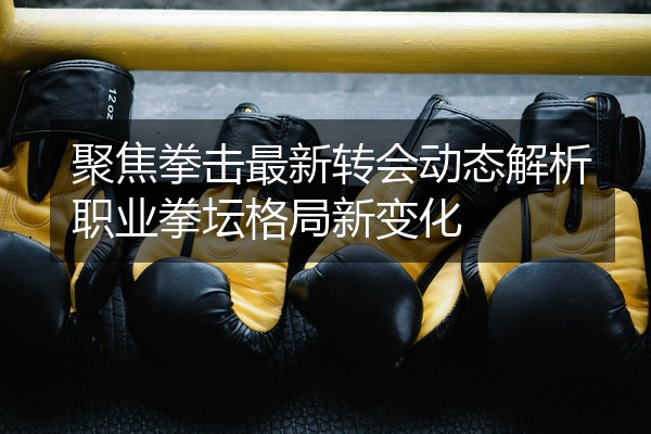 聚焦拳击最新转会动态解析职业拳坛格局新变化