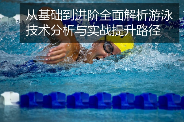 从基础到进阶全面解析游泳技术分析与实战提升路径