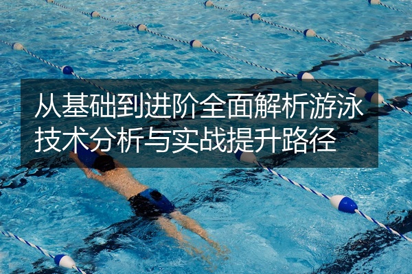 从基础到进阶全面解析游泳技术分析与实战提升路径