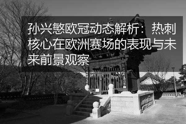孙兴慜欧冠动态解析：热刺核心在欧洲赛场的表现与未来前景观察