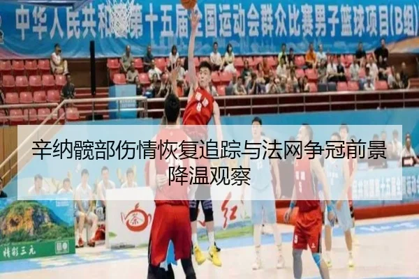 辛纳髋部伤情恢复追踪与法网争冠前景降温观察